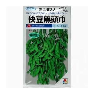 枝豆 丹波黒大粒大豆 1dl(約65粒) タキイ種苗（株） : グリーンロフト