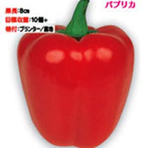 ピーマンの品種の商品一覧 通販 Yahoo ショッピング