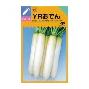 おでん 大根 種の商品一覧 通販 Yahoo ショッピング