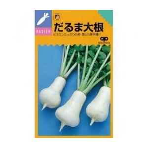 大根の種 だるま 小袋（約5ml） ( 野菜の種 )｜saien-club