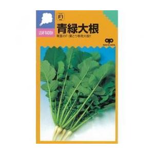 青緑 (葉大根の種) 小袋 約10ml ( 野菜の種 )