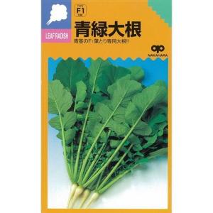 西洋野菜種子】 サカタ交配 アスパラガス 「ウェルカム」 10ml（約
