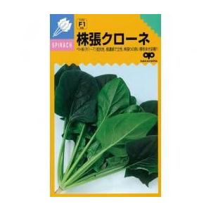 ほうれん草の種 株張クローネ 小袋 約25ml ...の商品画像