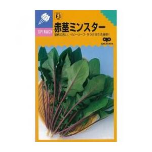 ほうれん草の種 赤茎ミンスター 小袋 約1dl ...の商品画像