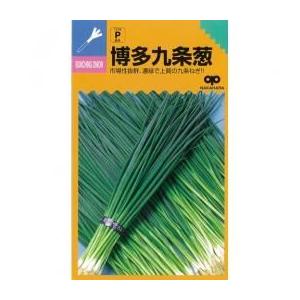 SK9-099 ブロッコリー種子 ペレット5000粒 【野菜種子】【サカタのタネ