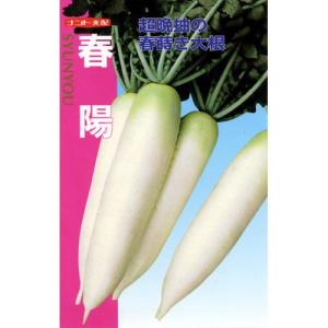 大根の種 春陽 小袋 約2ml ( 野菜の種 )｜saien-club