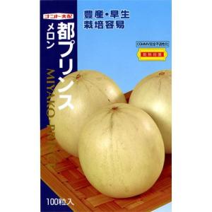 野菜・種/苗 青実はやとうり 千成うり 千成瓜 隼人瓜 ハヤトウリ 種