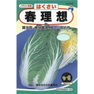 春理想 (白菜の種) 3500粒 ( 野菜の種 )