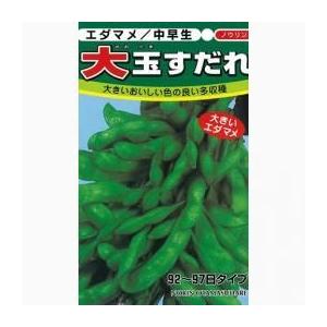 令和7年富山県産「あきたこまち」 種籾 1dl（約65g） : 種もみ専門店