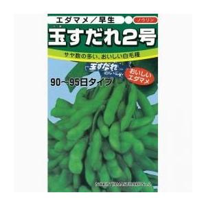 野菜の種/種子 狩勝3号・えだまめ 1dl （メール便発送）トキタ種苗