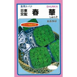 ナバナの種 ナバナCR春華 小袋（4.6ml）