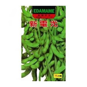 枝豆種 新電光 ( えだまめの種 ) 小袋 約3...の商品画像