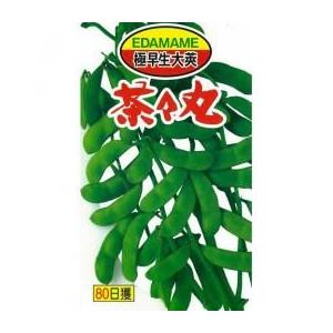 枝豆種 茶々丸 ( えだまめの種 ) 小袋 約3...の商品画像