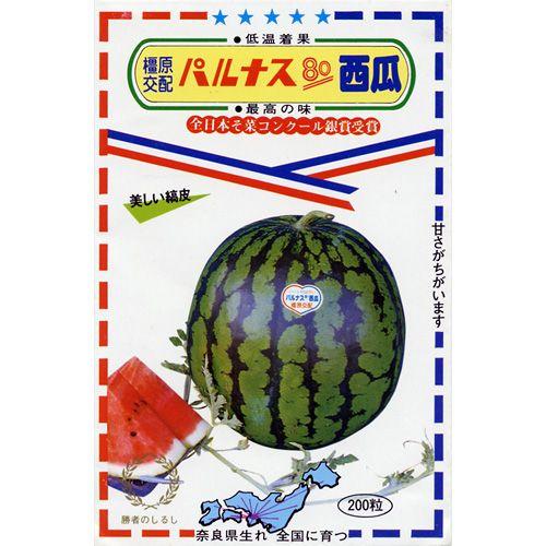 スイカの種 パルナス80 13粒 ( 野菜の種 )