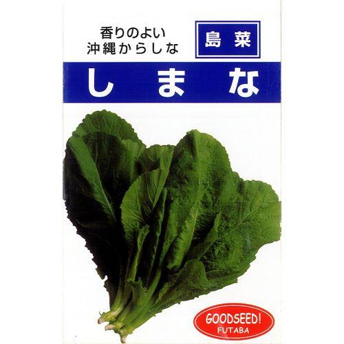 しまな (からし菜の種) 小袋 約10ml ( 野菜の種 )