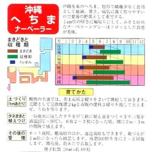 ヘチマの種 沖縄短形へちま 小袋 約10ml ...の詳細画像1