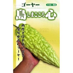 ニガウリ、ゴーヤの種 島心 5ml ( 野菜の種 )｜saien-club