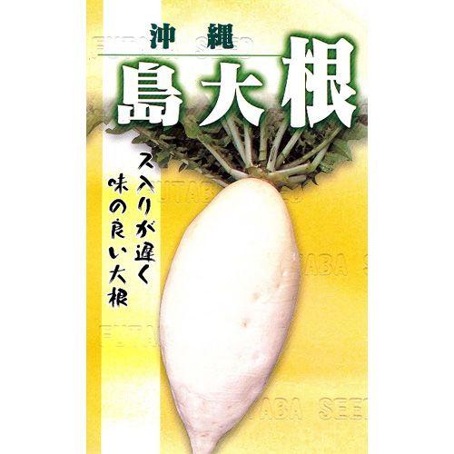 大根の種 島大根 小袋 約10ml ( 野菜の種 )