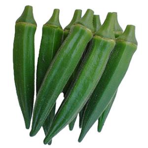 オクラの種 フィンガー5 1dl ( 野菜の種 )の商品画像