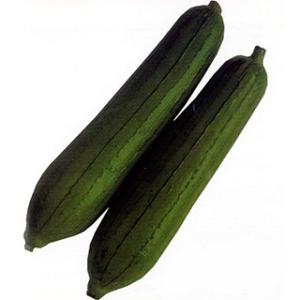 ヘチマの種 沖縄短形へちま 1L ( 野菜の種 )