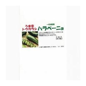 唐辛子の種 ハラペーニョ 約20粒 ( 野菜の種 )