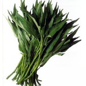 つるなしエンサイ (エンツァイの種) 1L ( 野菜の種 )