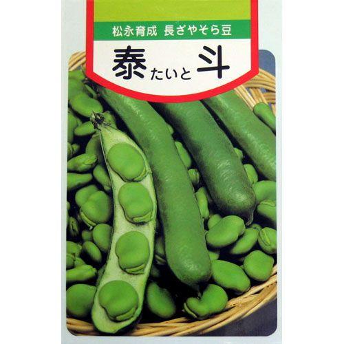 泰斗 (ソラマメの種) 小袋 約30ml ( 野菜の種 )