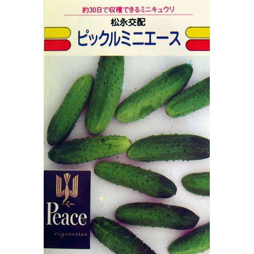 キュウリの種 ピックルミニエース 小袋 ( 野菜の種 )