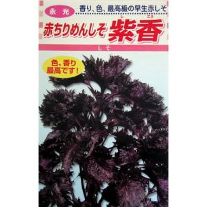 赤ちりめんしそ紫香 (シソの種) 小袋 約5ml ( 野菜の種 )