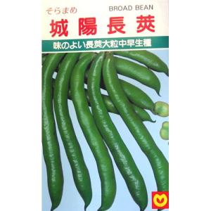 城陽長莢ソラマメ (ソラマメの種) 小袋 約30...の商品画像