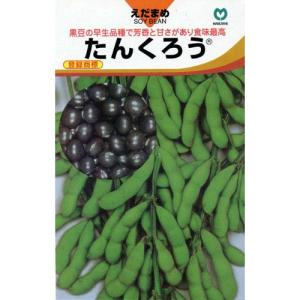 枝豆 丹波黒大粒大豆 1dl(約65粒) タキイ種苗（株） : グリーンロフト