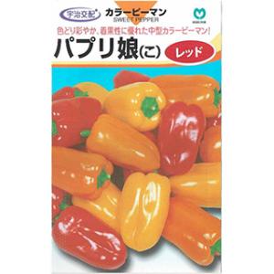 トウガラシ 種 甘とうジャンボ 小袋(25粒) ( とうがらし・ししとうの種
