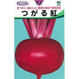 カブの種 つがる紅 小袋（約３ｍｌ) ( 野菜の種 )｜saien-club