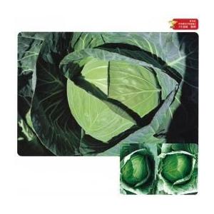 キャベツさま専用 キャベツの種 TCA−422 ペレット5千粒 ( 野菜の種 ) : 菜園