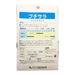 葉菜類の種 アイスプラントプチサラ コート約50粒の詳細画像1