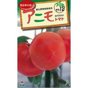 大玉トマトの種 Ｆ１アニモ 1,000粒 ( 野菜の種 )｜saien-club