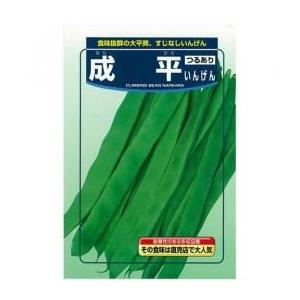 SK9-099 ブロッコリー種子 2000粒 【野菜種子】【サカタのタネ