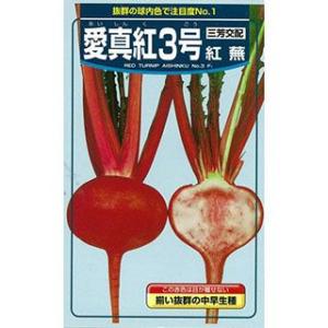 カブの種 愛真紅3号蕪 コート5千粒 ( 野菜の種 )の商品画像