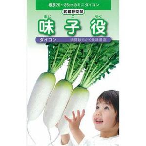 種籾 「ミズホチカラ」 4kg 6年産 : 万糧米穀 - 通販 - Yahoo!ショッピング