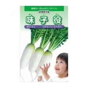 大根の種 味子役 1dl缶 ( 野菜の種 )｜saien-club