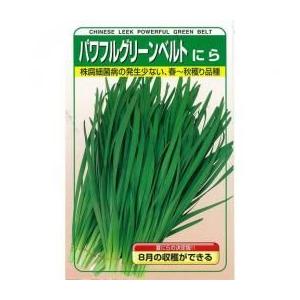 ニラの種 パワフルグリーンベルト 2dl缶 野菜の種 菜園くらぶ Yahoo 店 通販 Yahoo ショッピング