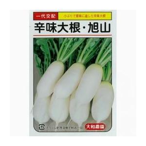 大根の種 辛味大根旭山 小袋 約5ml ( 野菜の種 )｜saien-club