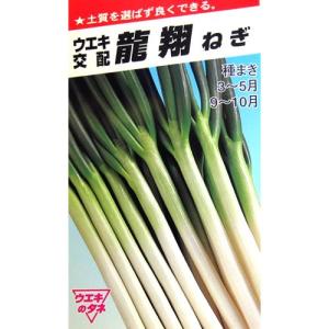 ネギの種 龍翔ねぎ 小袋 約10ml ( 野菜の種 )