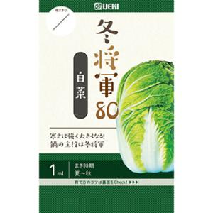 キャベツの種 冬将軍80 (白菜の種) 小袋 約20ml ( 野菜の種 )