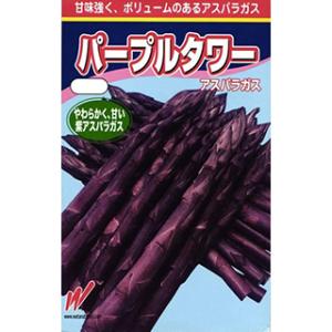 サカタのタネ アスパラガス スーパーウェルカム 100粒 : 種苗・園芸
