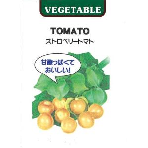 食用ほおずき ストロベリートマトの種 小袋 (約30粒) ( 野菜の種 )