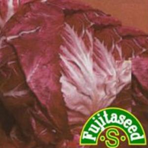 すべてオーガニックな栽培キット ミニトマト B185 ( 1セット ) : 爽快