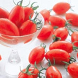 ミニトマトの種  アイコ  実咲小袋（17粒） ( 野菜の種