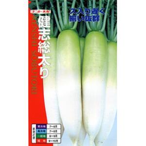 ダイコンの種 健志総太り 2dl ( 野菜の種 )