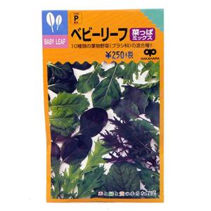 こまつな 中国 小松菜（カット） IQF ○○○g - 株式会社イセヤ